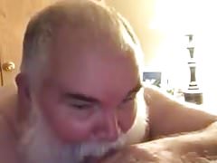polar bear sucked cock