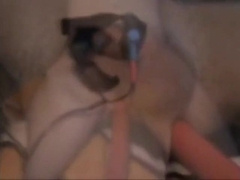 slave boy 10