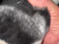 Gigantic Manmeat Takes on Delicate Wool