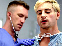 Gay suck, gay fuck, fag