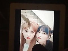 TWICE Momo and Tzuyu Cum Tribute