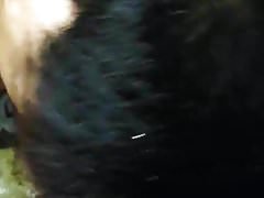 Sweet Asian Cock Handjobs Vol. 11