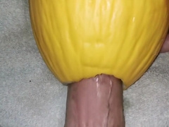 Big Dick Fucking Watermelon Close Up