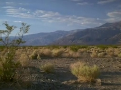 Valley (Sam Taylor-Wood, 2006)