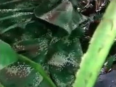 Soldier Beats Off Outdoors - Amateur Latin Military Handjob8888