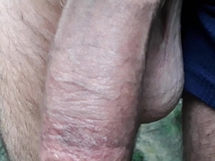 Hiking in the garden