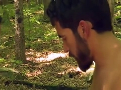 Forest Frolic