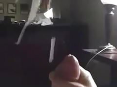 Cumshot