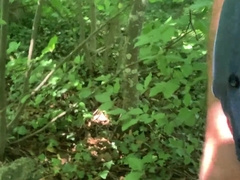 Walk in the forest