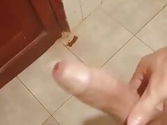 Hard White Bull jerking off in the shower