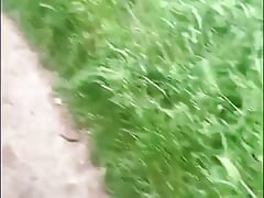 Straw in the Forest