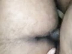 Chubby bears bareback