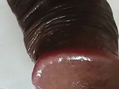 SURPRISE FOR YOU AT THE END OF THE VIDEO, A BEAUTIFUL MILK