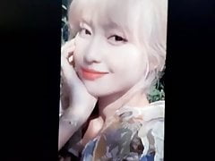Twice Momo cum tribute