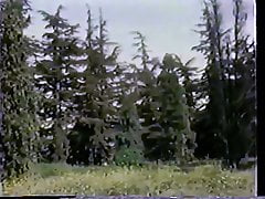 Tall Timber (1971) Part 3