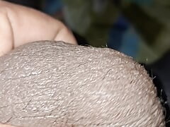Indian Cock