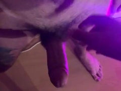 Blowing my Manmeat! my Buddy with a Deep Jaws