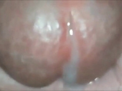Amateur Man Masturbation Multi Cumshots