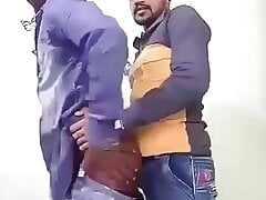 Unmada dethol