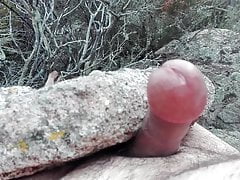 Wood, stones ... cum!!!