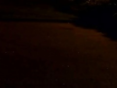 Summer night
