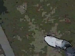 Slutboyben CAM4 Outdoor Cruising joy at NIGHT