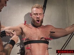 Fellatio, bondage & discipline, uncut dicks