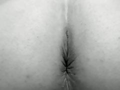 ASS STRIPTEASE W HARD COCK