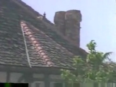 Like Haas And Rj Danvers