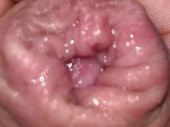 Foreskin up close with piss