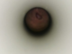 glory hole penis
