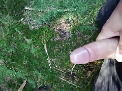 Abspritzen im Wald