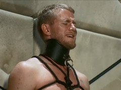 Dominance, hand-job, bondage & discipline