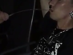 Punk vollpissen