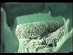 Nightview raw sex