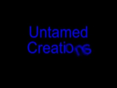 Excellent Adult Video Gay Wrestling Newest Pretty One