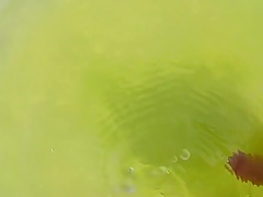 Swimming