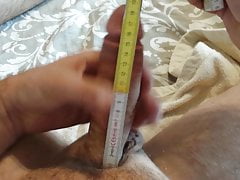 I wonder how long the penis is