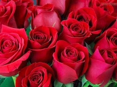 Gay porn, mature, ai