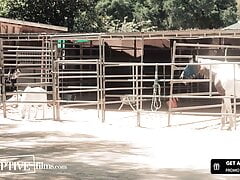 Dillon Diaz Catches Men Fucking Outside His Vacation Cabin
