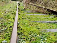 Abandoned train tracks?  Including pissing.