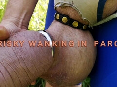 Walk in the parc