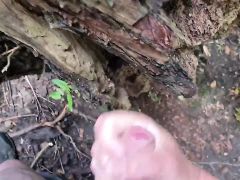 Outdoor wank
