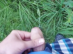 Bear cum in the nature
