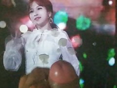 Twice Mina cum (tribute) #13