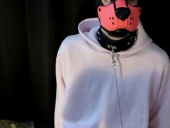 Locked pup plays with his playthings and makes a dirt