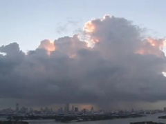 Brutus Black Stroking