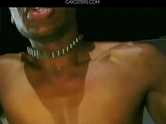 Bandit Big Boss Bobby Blake Bobby Tyler Soloman Gregory 2