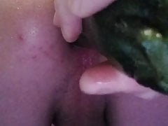 Anal cucumber solo