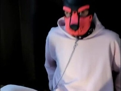 Locked pup plays with his playthings and makes a dirt